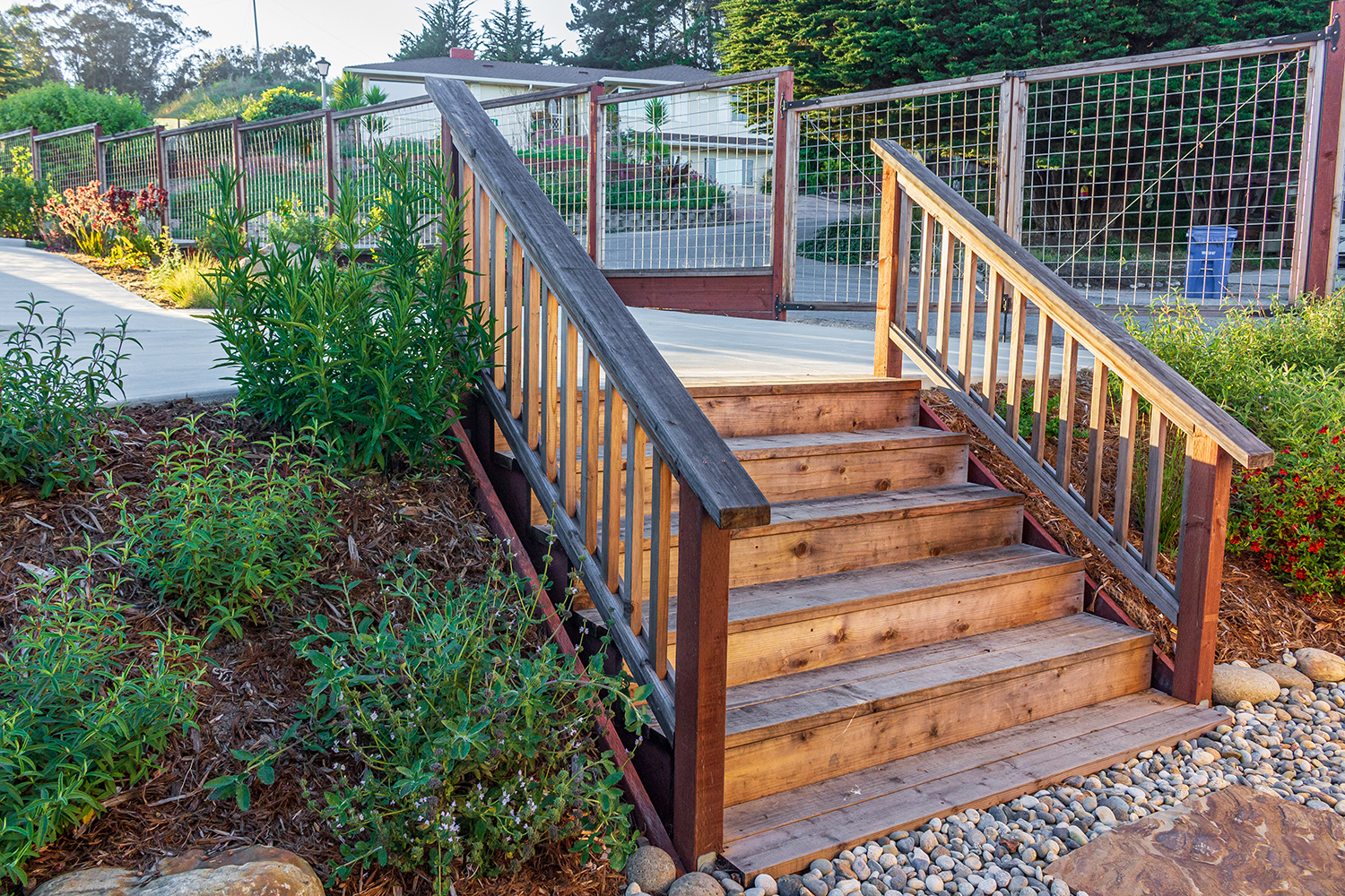Davenport-Residence-wooden-stairs-in-native-california-plants-garden